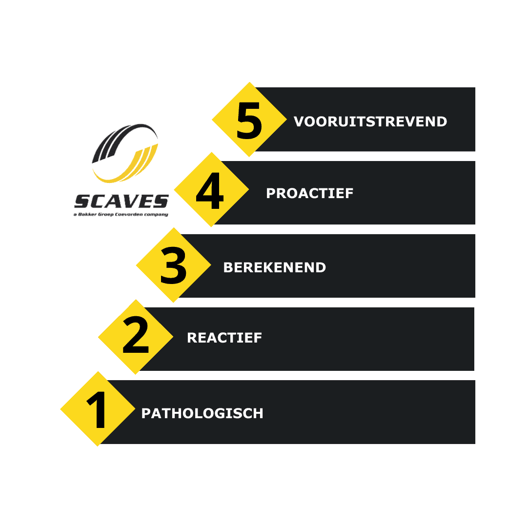 Safety Culture Ladder